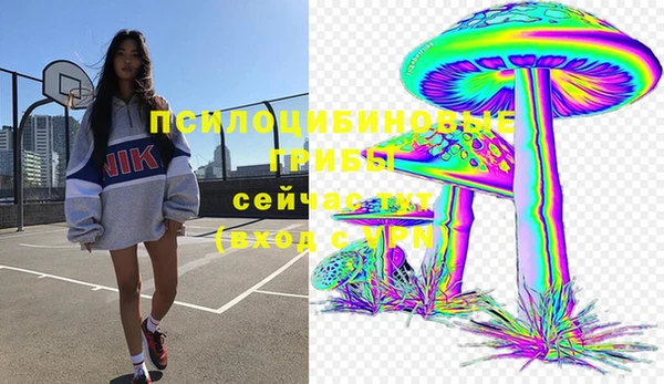 альфа пвп Нягань
