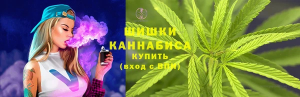 молекула духа Нязепетровск