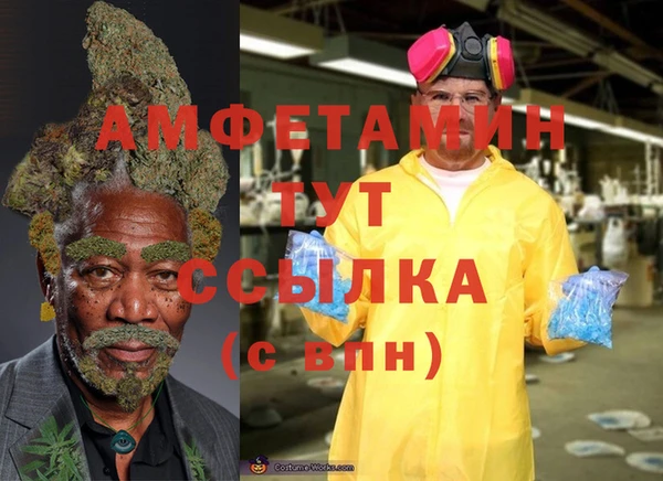 молекула духа Нязепетровск