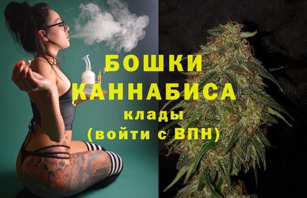 молекула духа Нязепетровск