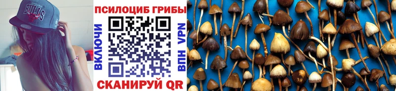 гидра как зайти  Байкальск  Галлюциногенные грибы ЛСД 