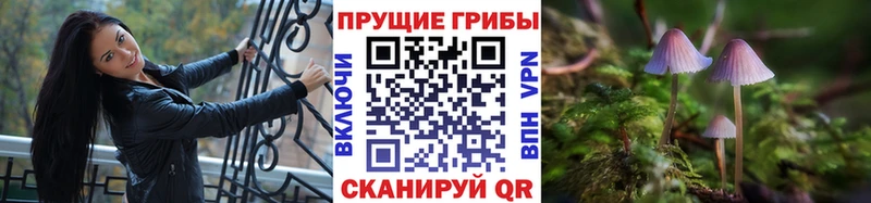 Псилоцибиновые грибы мухоморы Байкальск